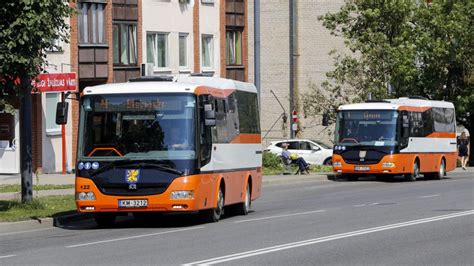 kapusvētki rēzeknes miera ielas kapos 2024